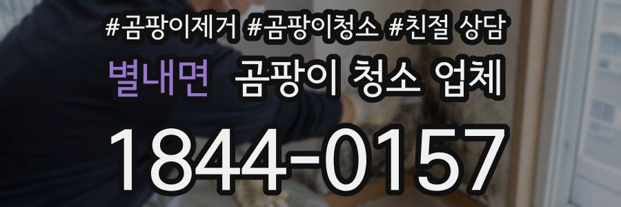별내면 곰팡이 청소 업체