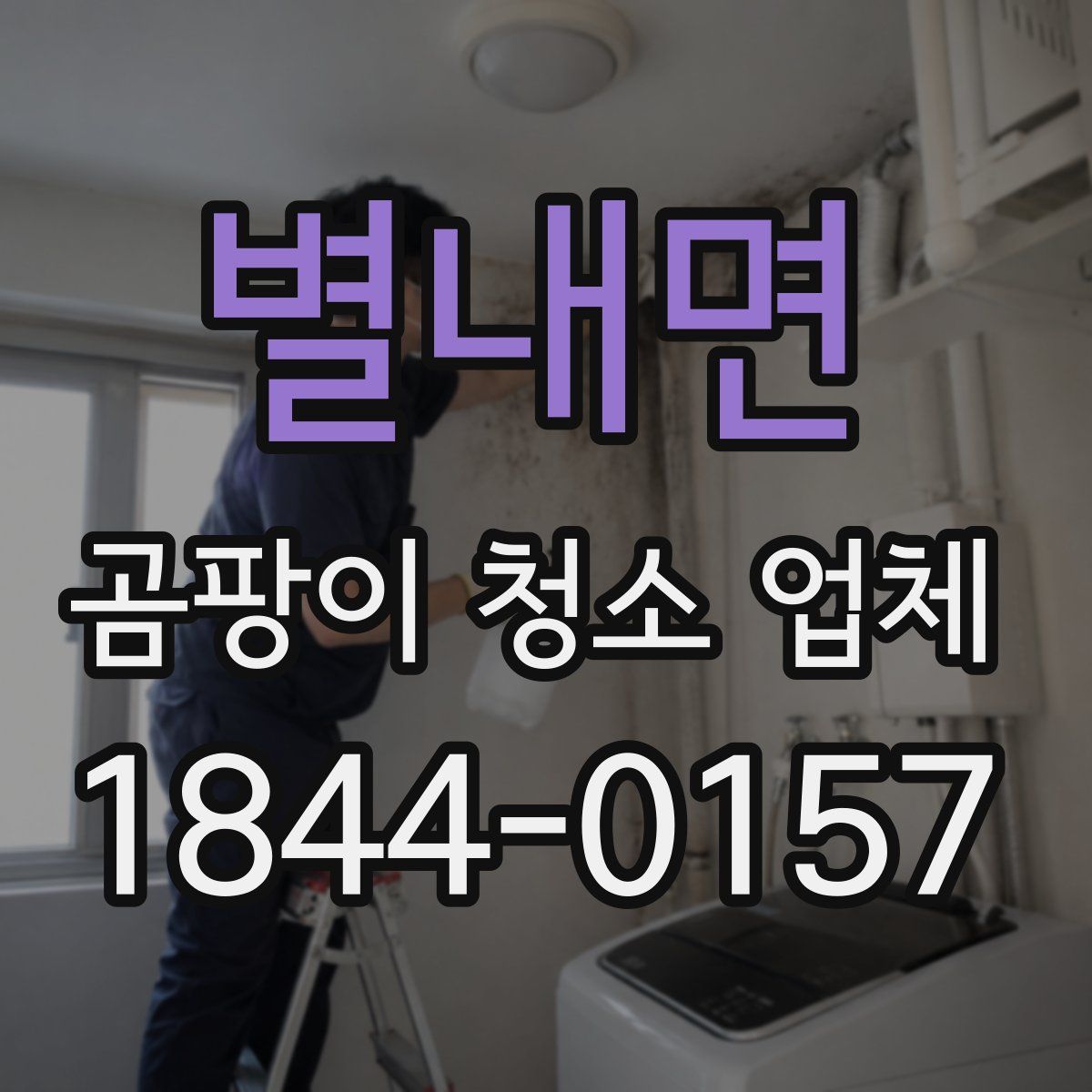 별내면 곰팡이 청소 업체