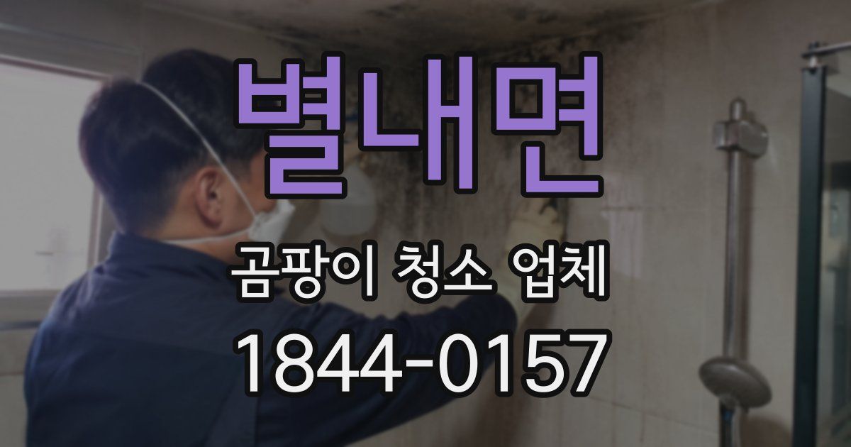 별내면 곰팡이 청소 업체