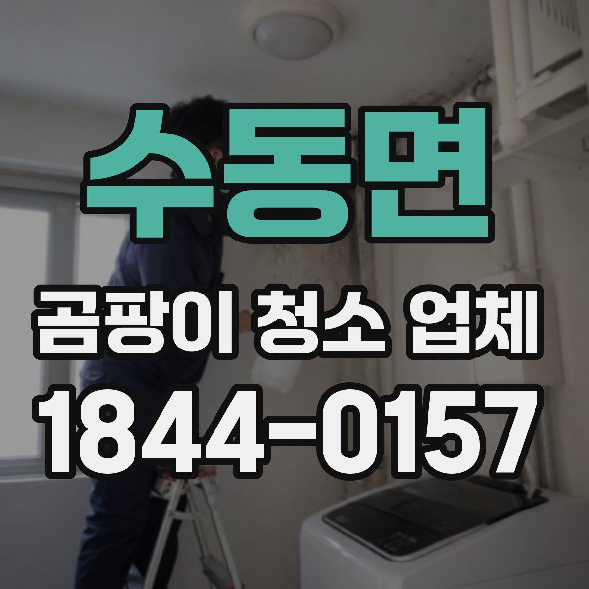 수동면 곰팡이 청소 업체