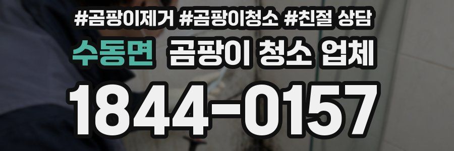 수동면 곰팡이 청소 업체