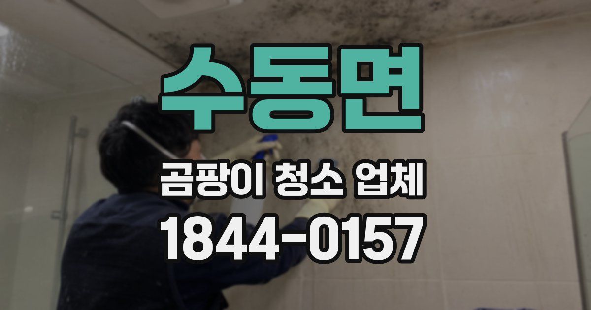 수동면 곰팡이 청소 업체