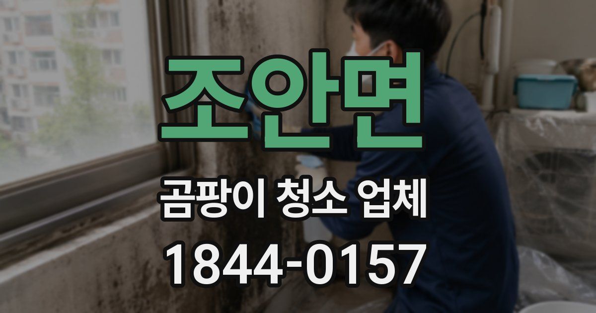 조안면 곰팡이 청소 업체