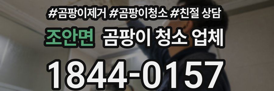 조안면 곰팡이 청소 업체