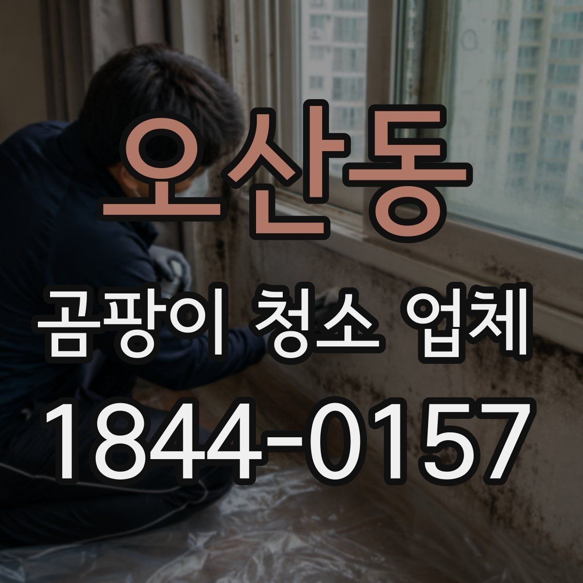 오산동 곰팡이 청소 업체 비용과 현장 상태의 관계
