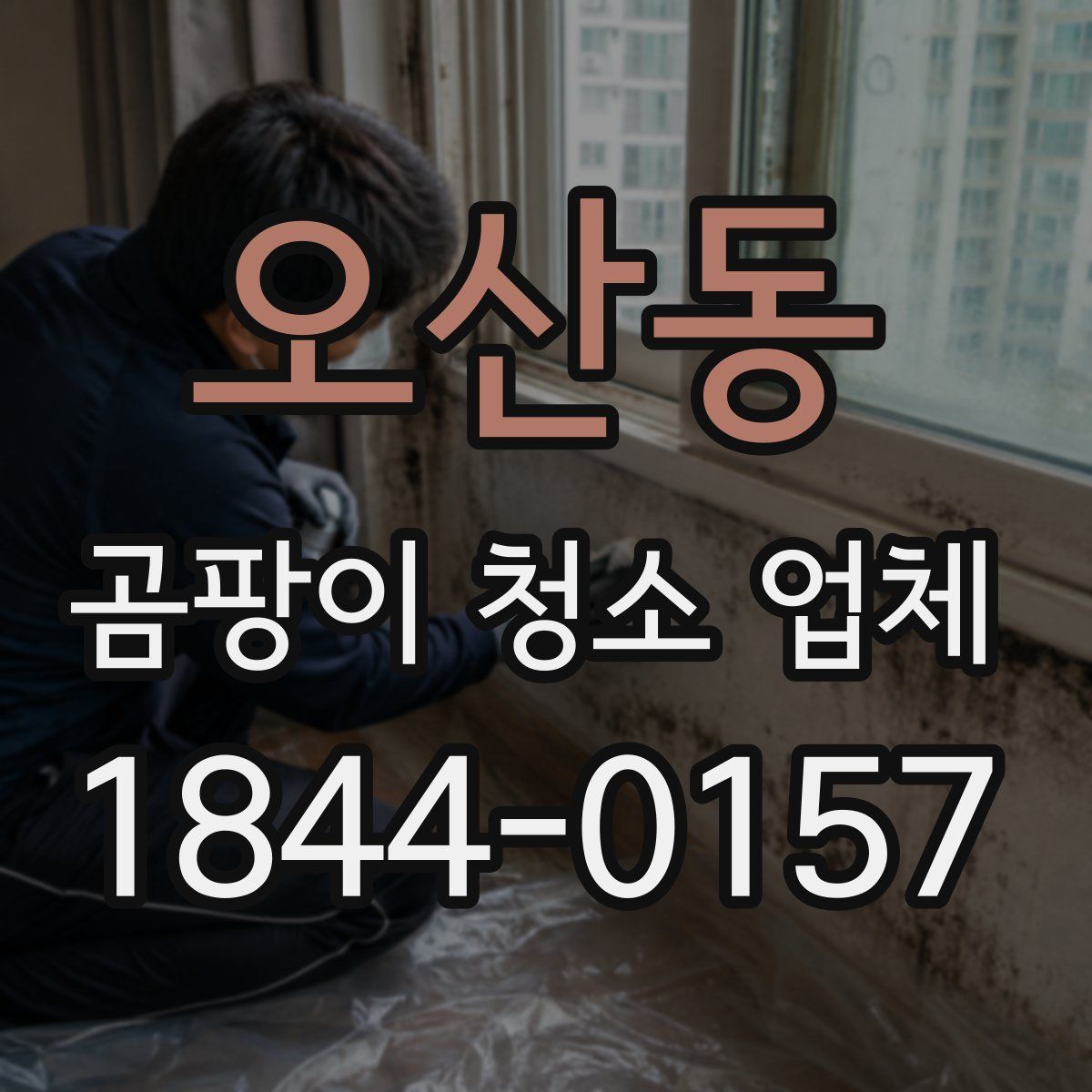 오산동 곰팡이 청소 업체