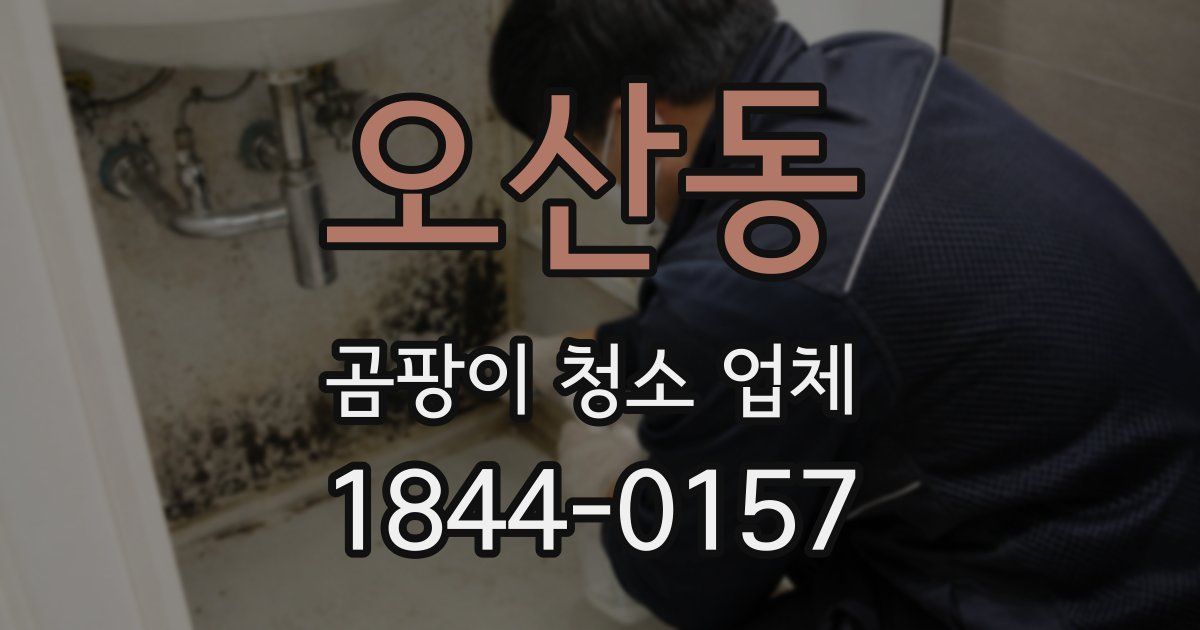 오산동 곰팡이 청소 업체