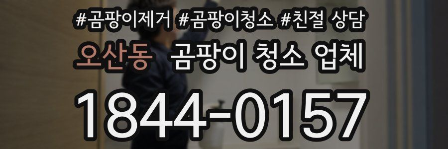 오산동 곰팡이 청소 업체