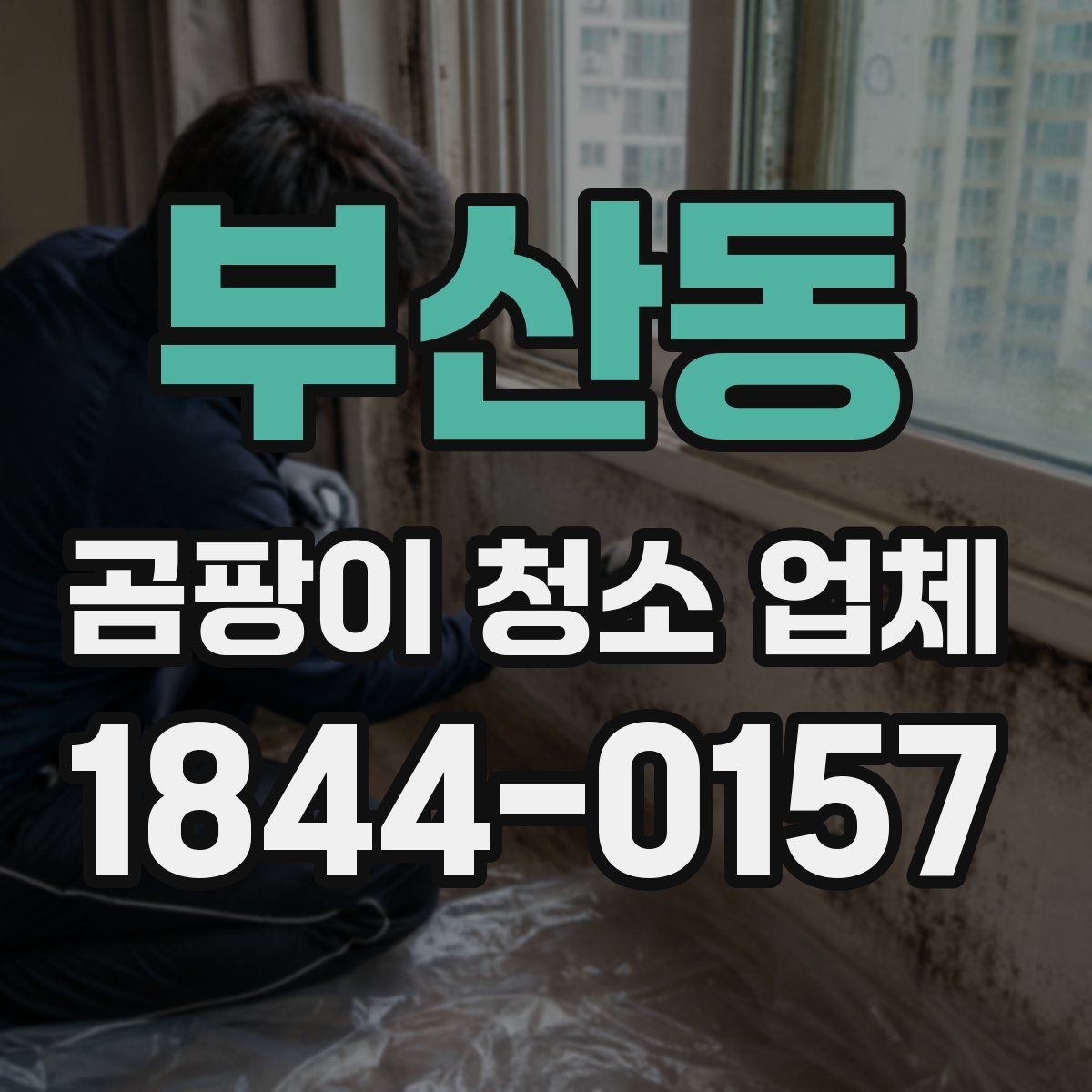 부산동 곰팡이 청소 업체 상담 시 자주 묻는 질문