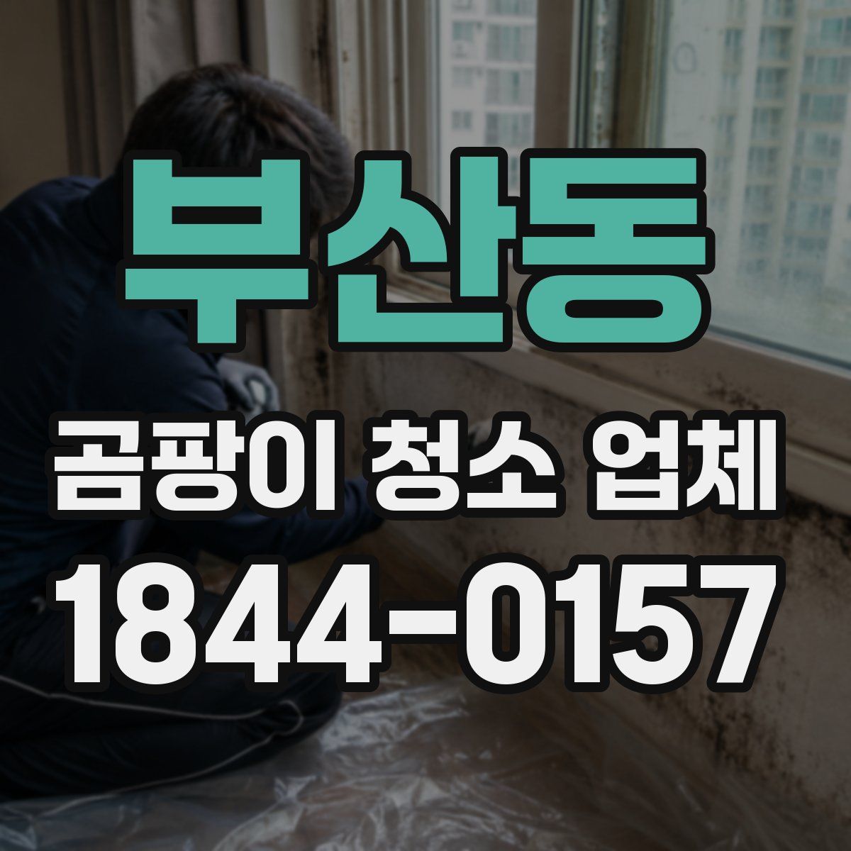 부산동 곰팡이 청소 업체