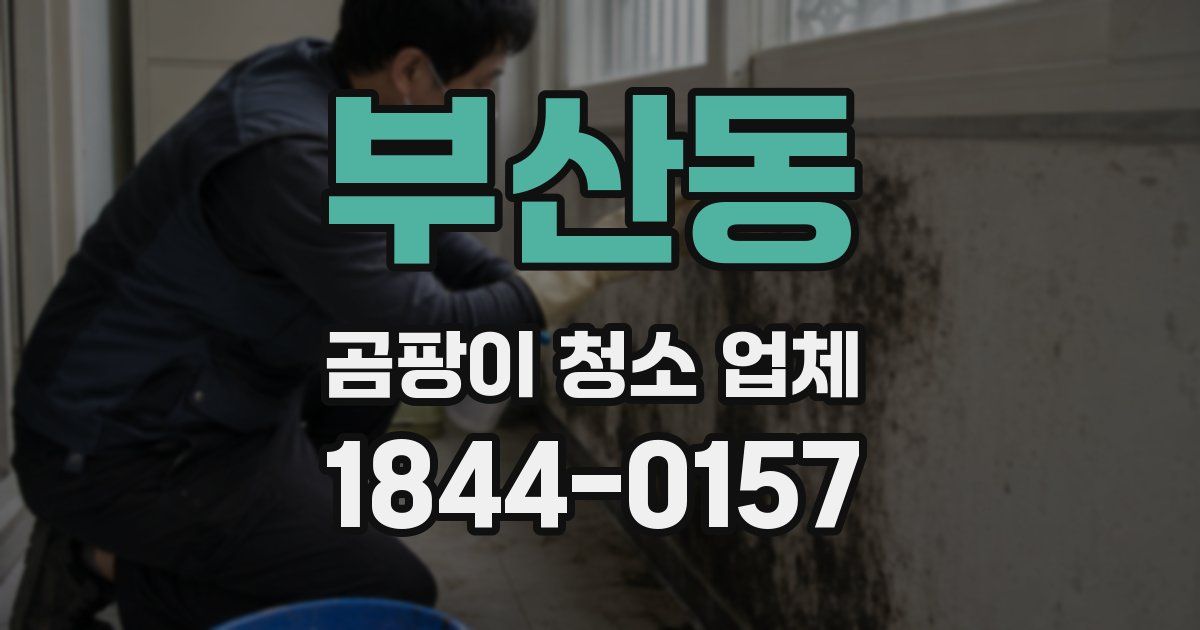 부산동 곰팡이 청소 업체