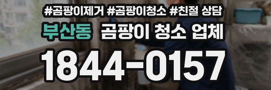 부산동 곰팡이 청소 업체