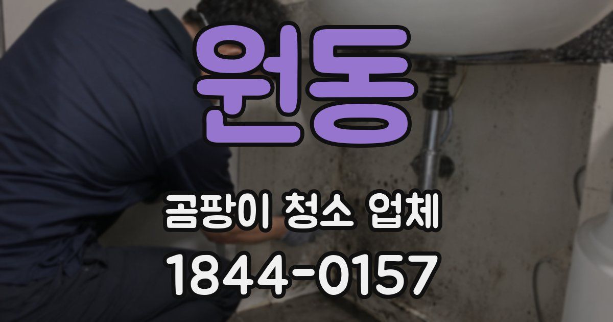 원동 곰팡이 청소 업체