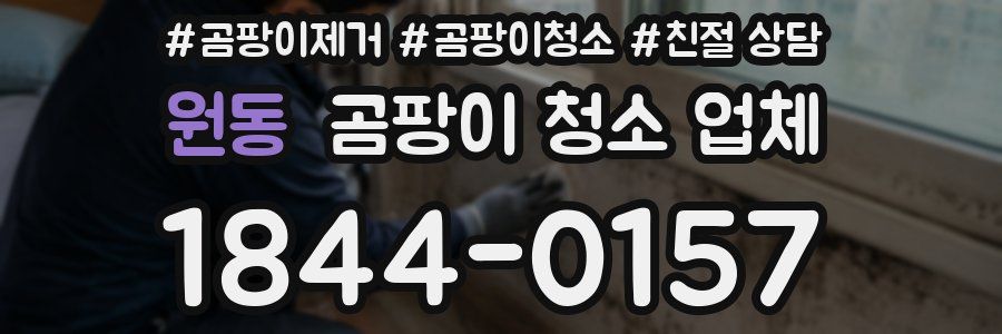 원동 곰팡이 청소 업체