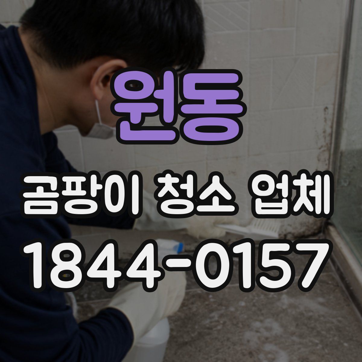 원동 곰팡이 청소 업체
