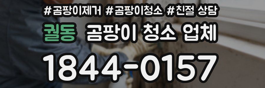 궐동 곰팡이 청소 업체