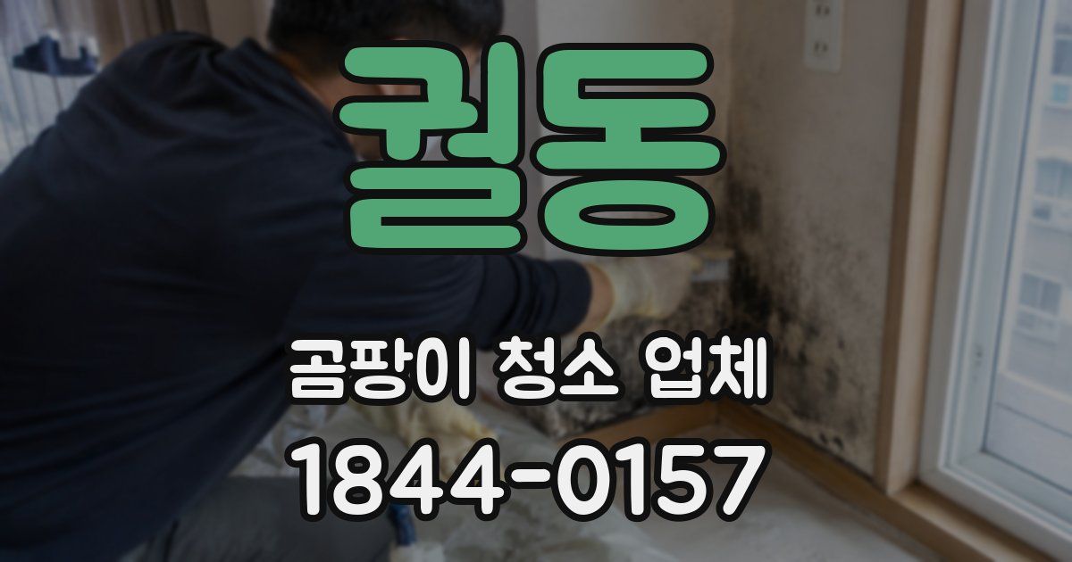 궐동 곰팡이 청소 업체