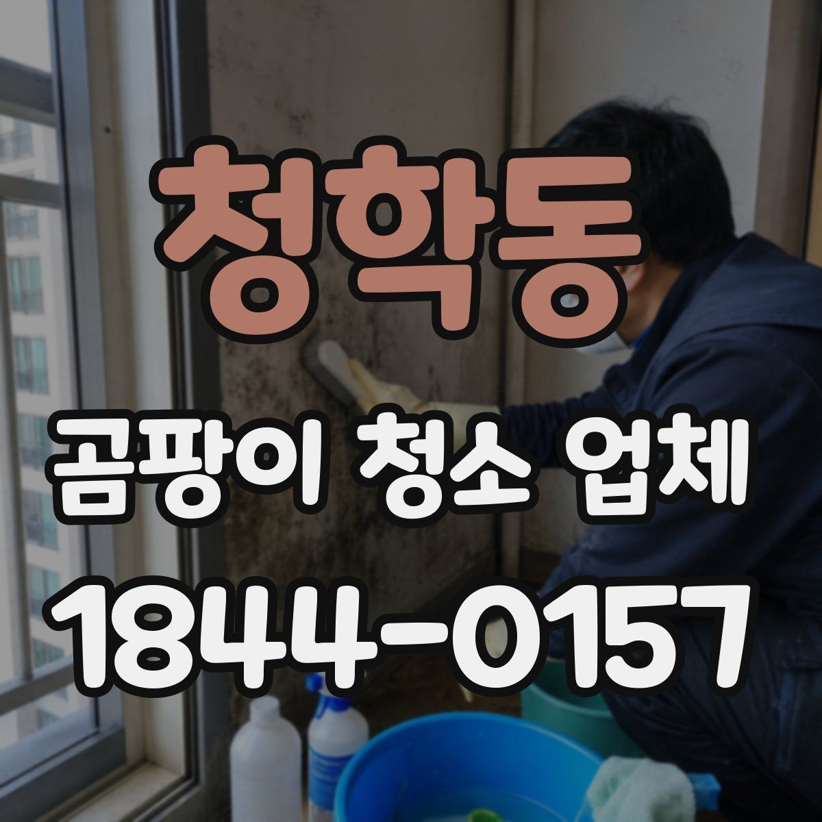 청학동 곰팡이 청소 업체 후기에서 자주 나오는 내용