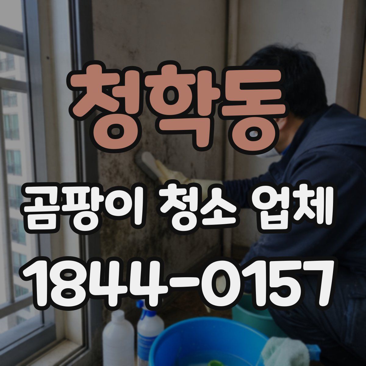 청학동 곰팡이 청소 업체