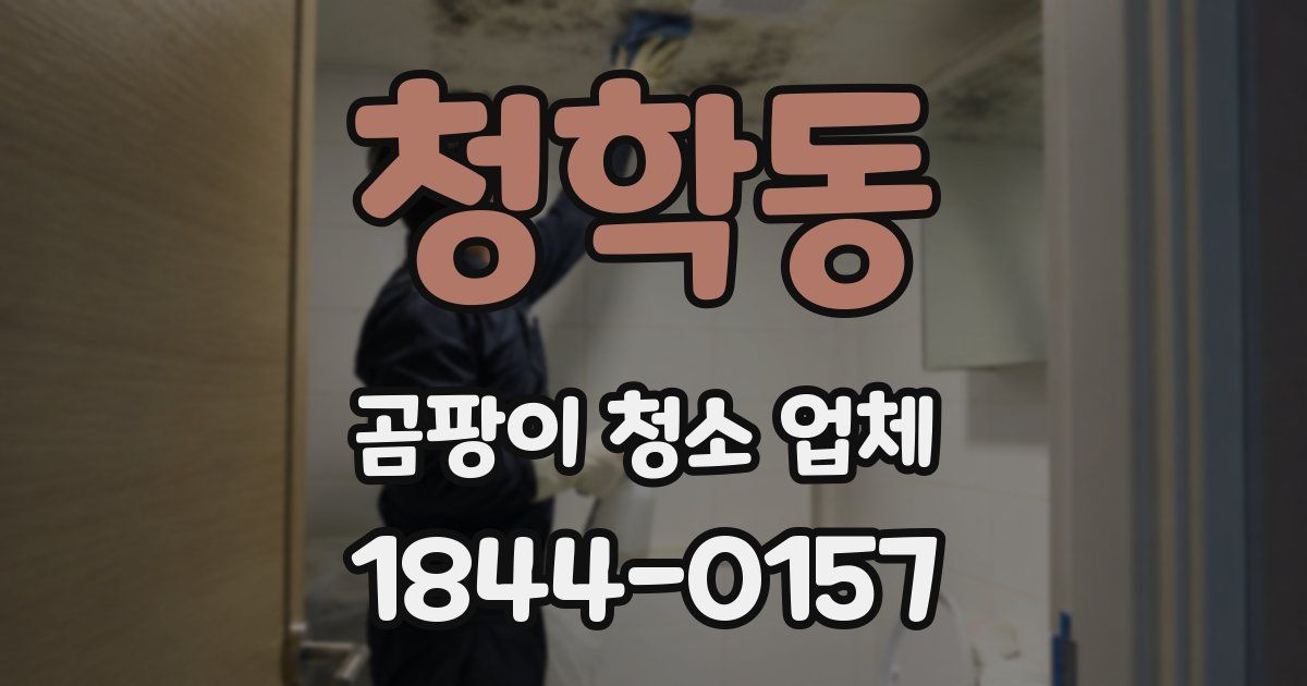 청학동 곰팡이 청소 업체