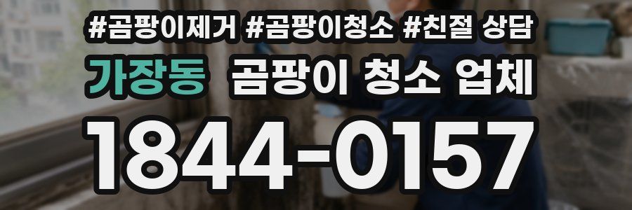 가장동 곰팡이 청소 업체