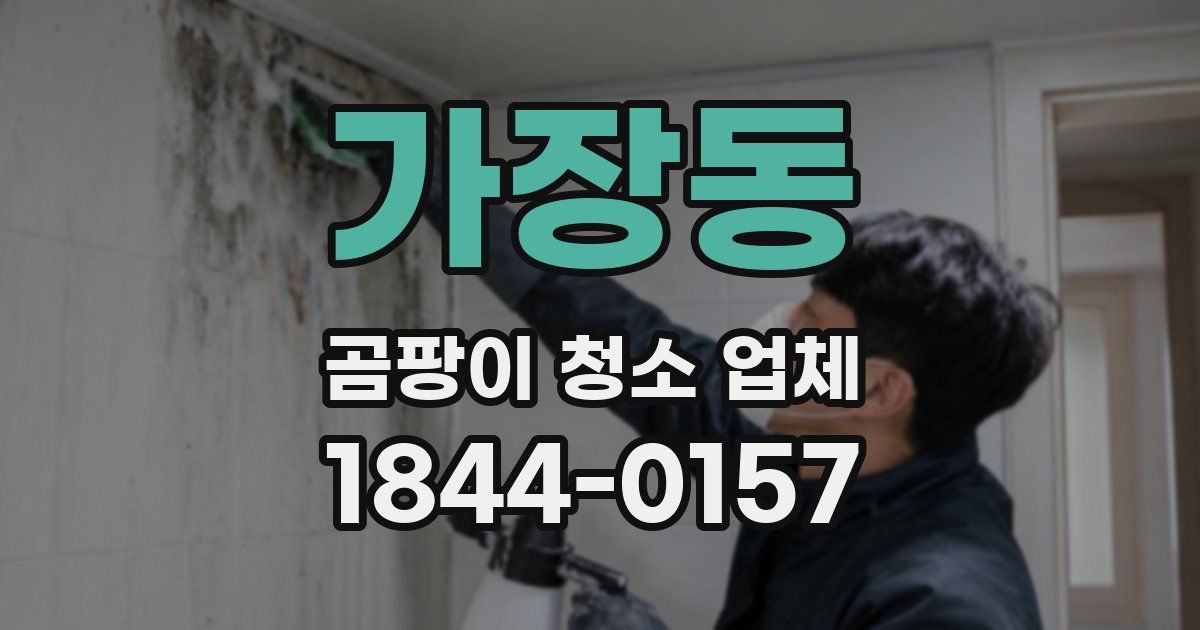 가장동 곰팡이 청소 업체