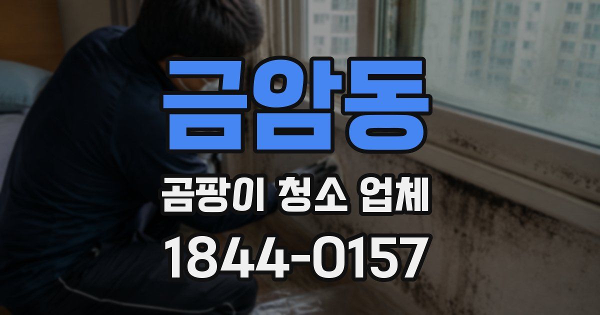 금암동 곰팡이 청소 업체