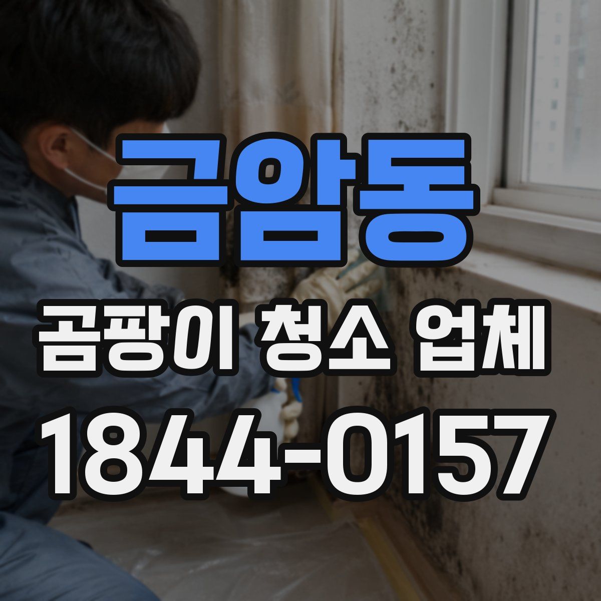 금암동 곰팡이 청소 업체