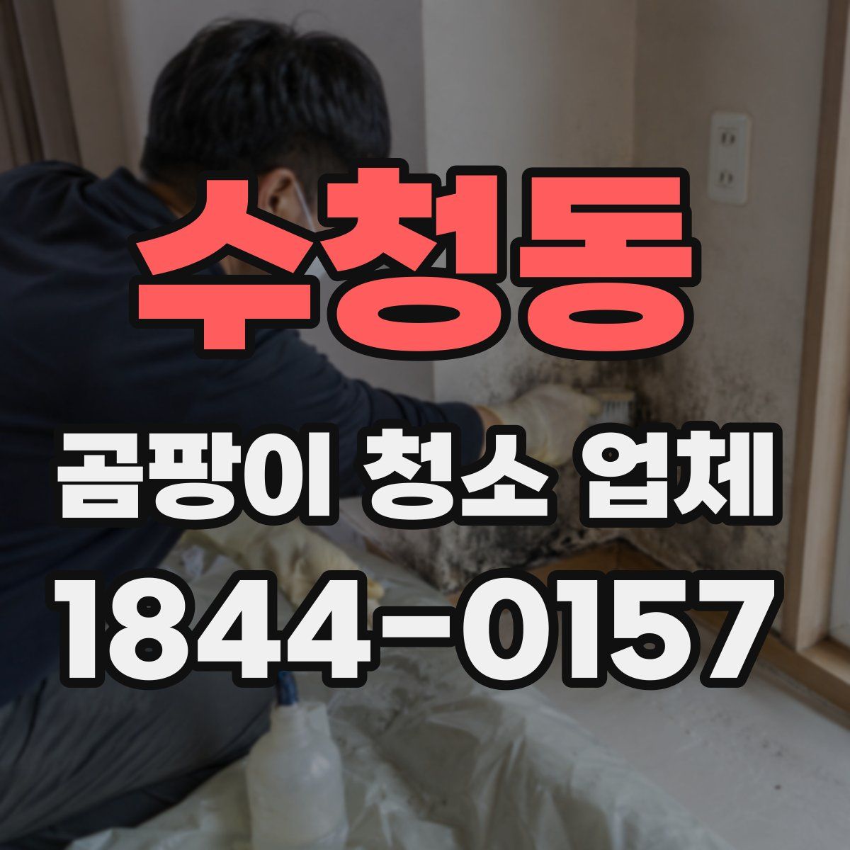 수청동 곰팡이 청소 업체