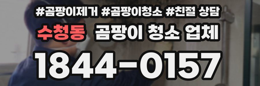 수청동 곰팡이 청소 업체