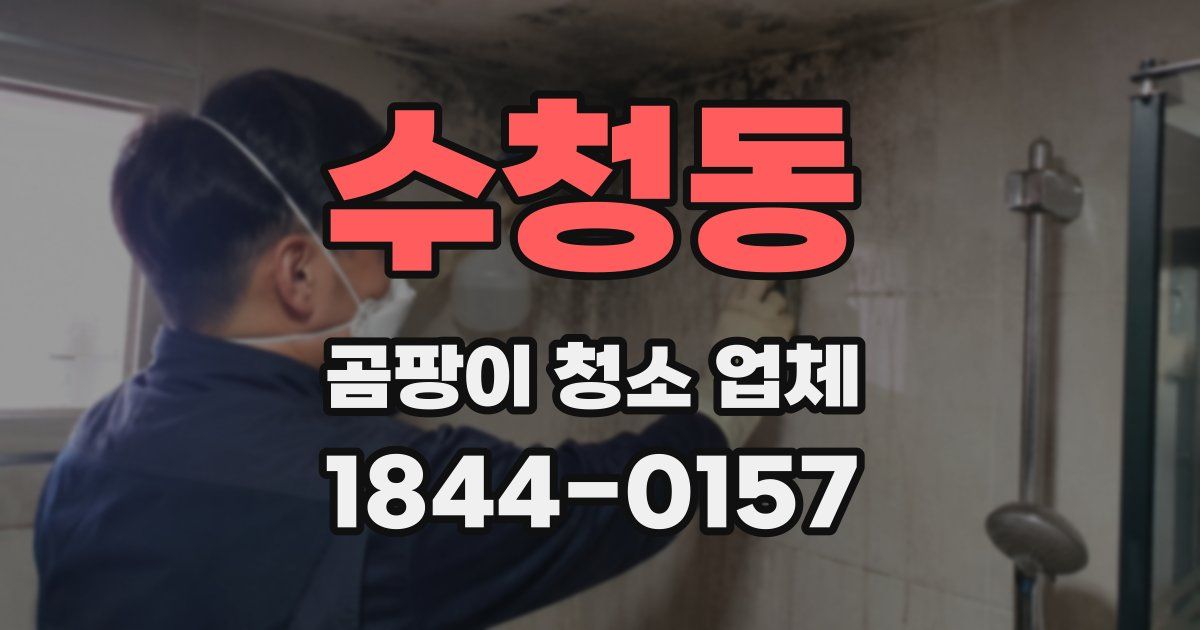 수청동 곰팡이 청소 업체