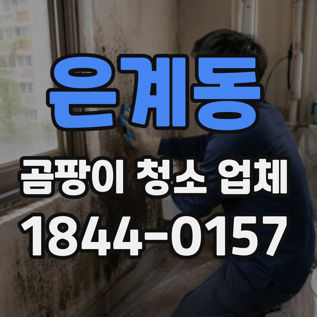 은계동 곰팡이 청소 업체