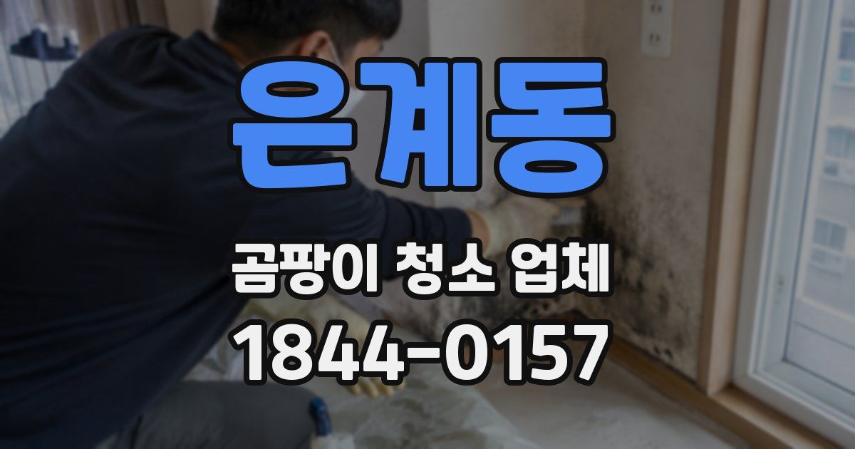 은계동 곰팡이 청소 업체