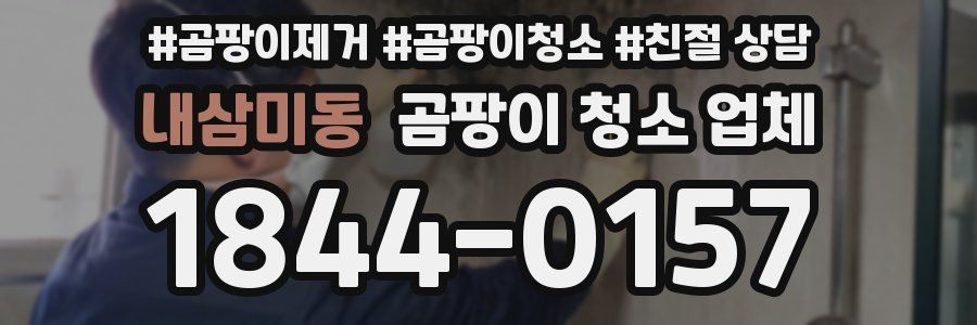 내삼미동 곰팡이 청소 업체