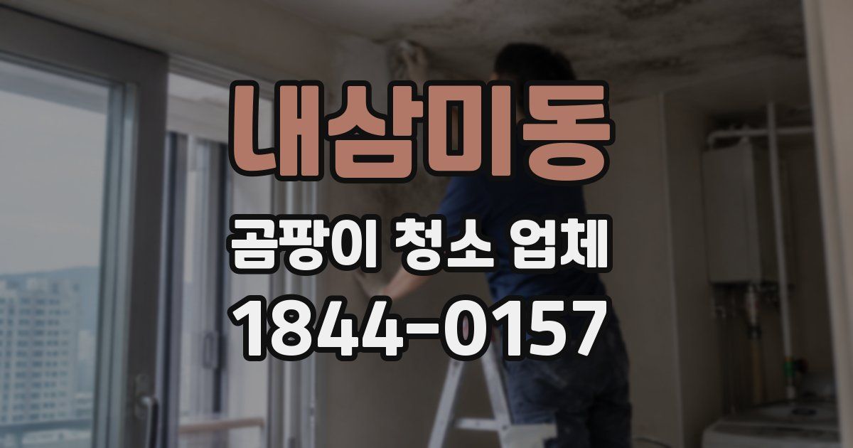 내삼미동 곰팡이 청소 업체