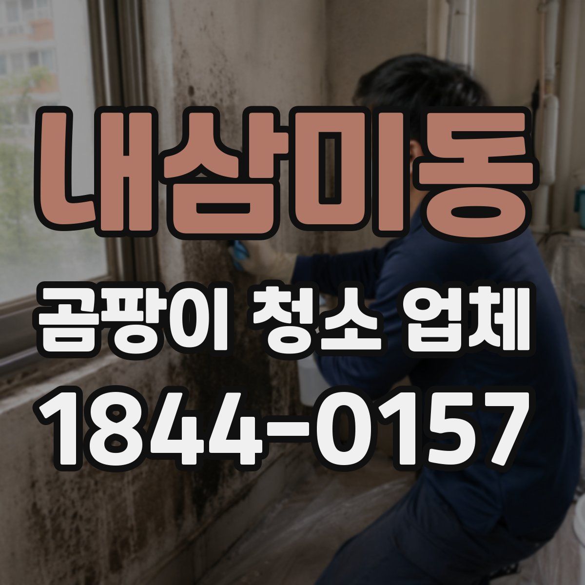 내삼미동 곰팡이 청소 업체