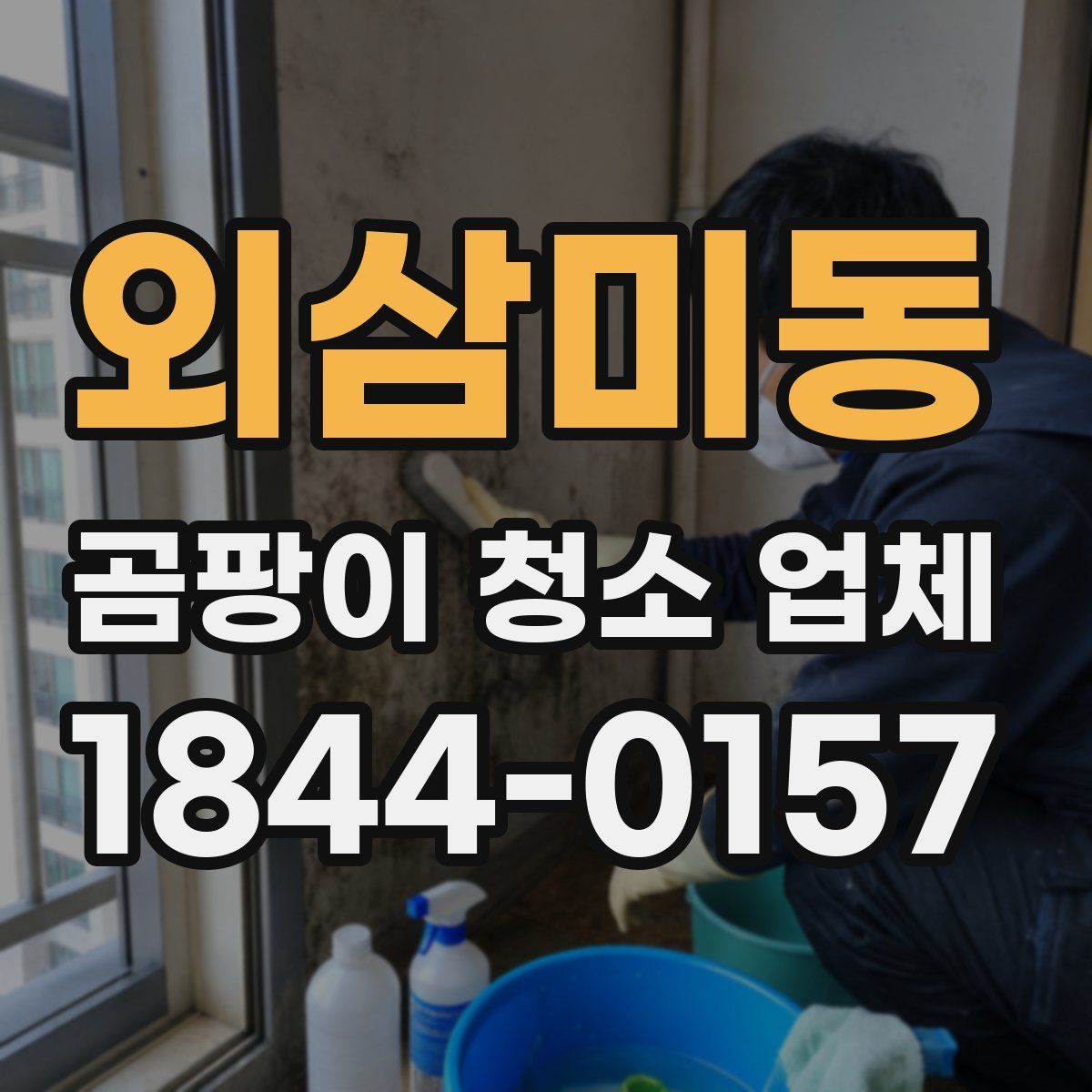 외삼미동 곰팡이 청소 업체