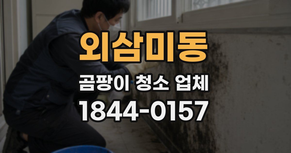 외삼미동 곰팡이 청소 업체