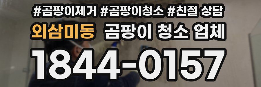 외삼미동 곰팡이 청소 업체
