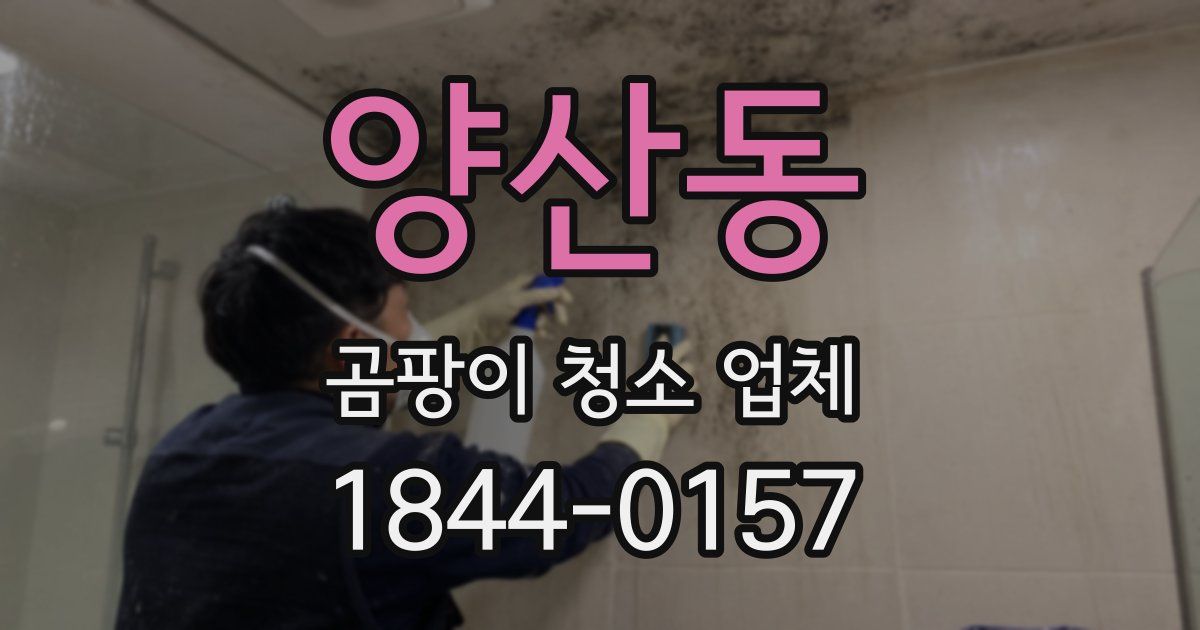 양산동 곰팡이 청소 업체