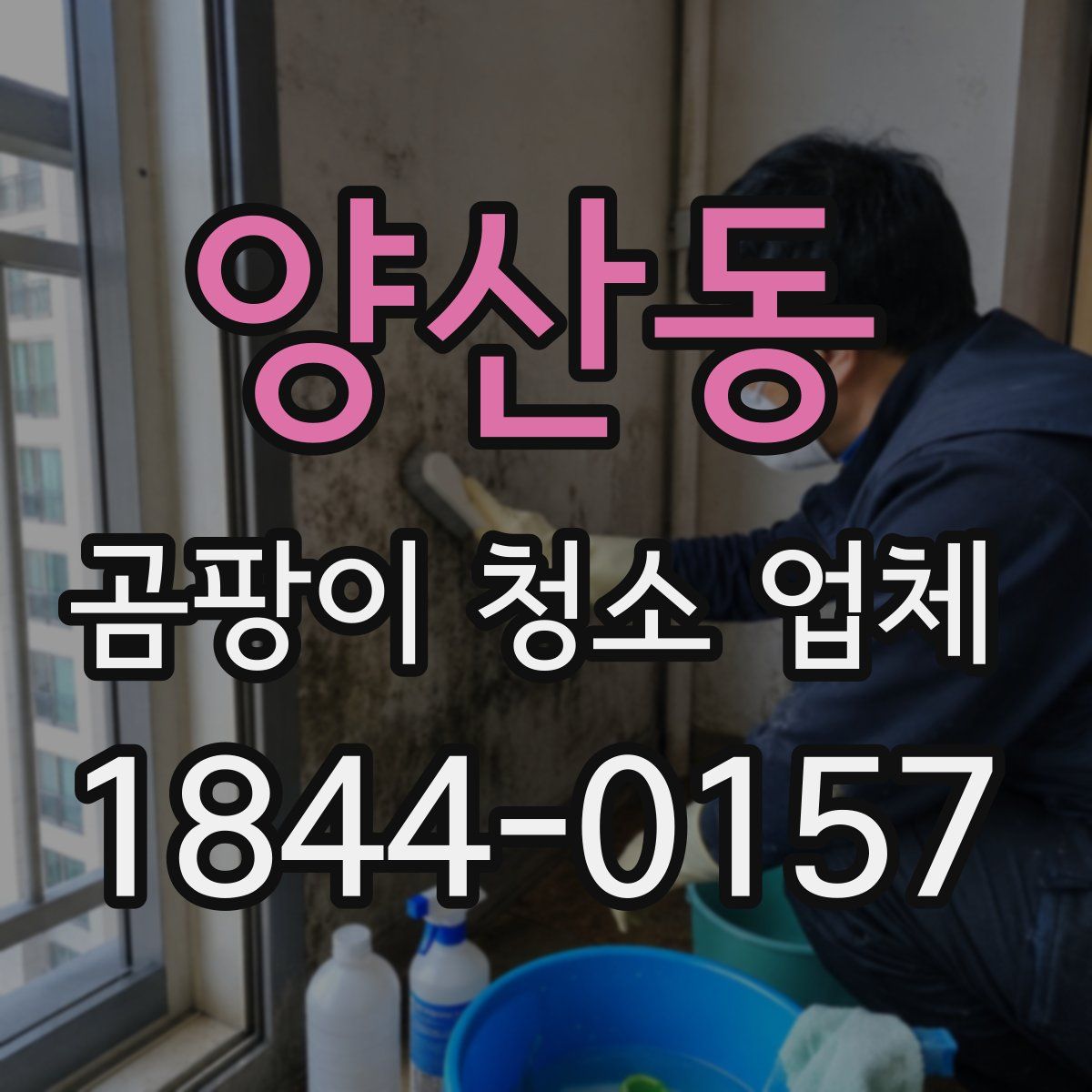 양산동 곰팡이 청소 업체