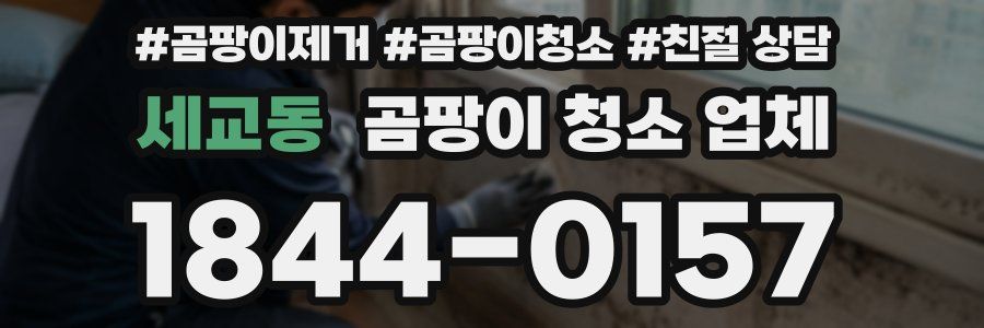 세교동 곰팡이 청소 업체