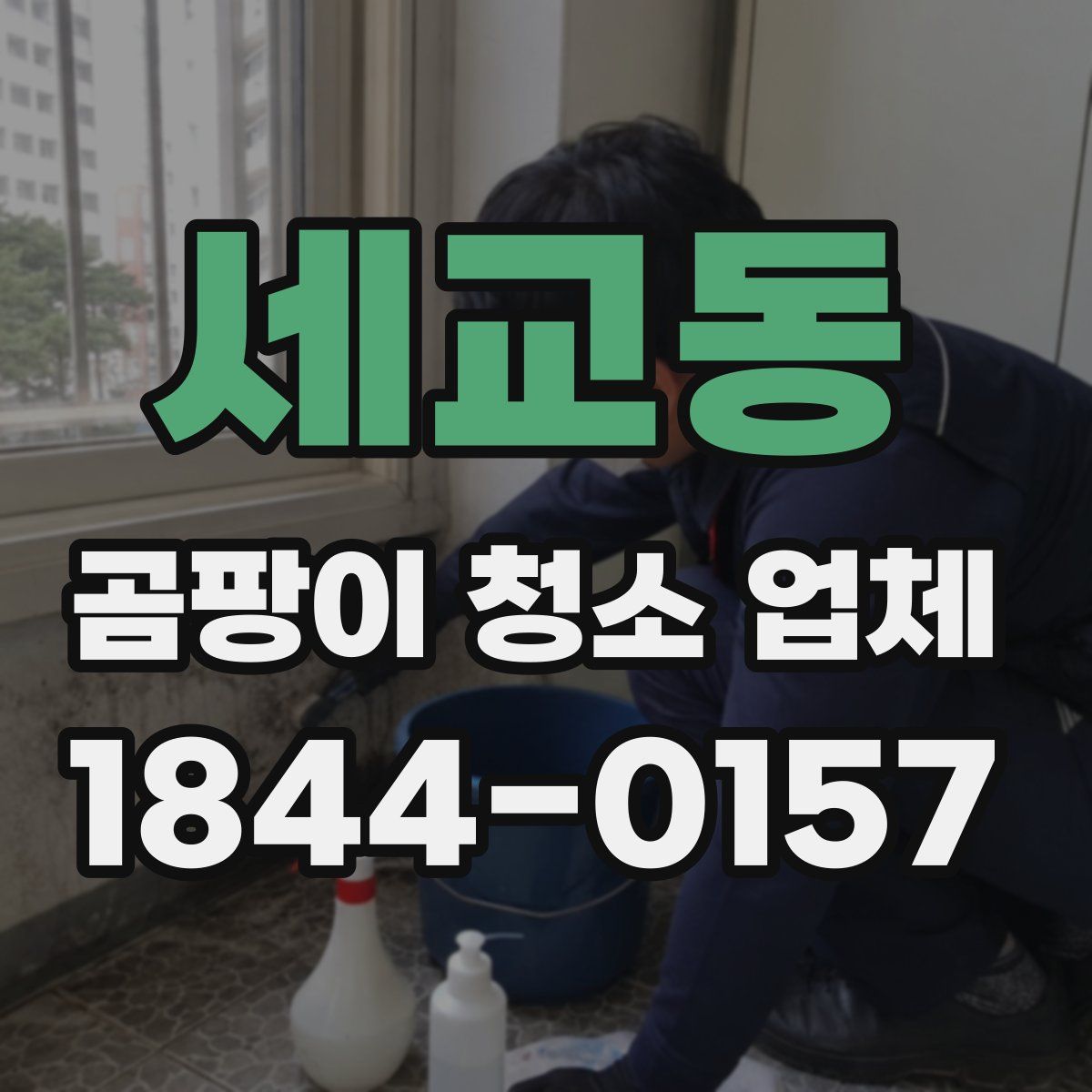 세교동 곰팡이 청소 업체