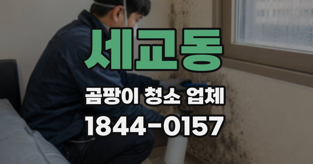 세교동 곰팡이 청소 업체