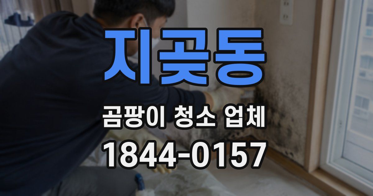지곶동 곰팡이 청소 업체