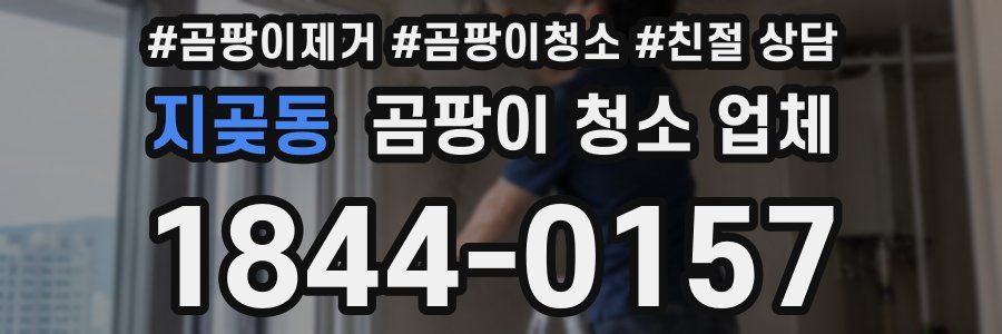 지곶동 곰팡이 청소 업체