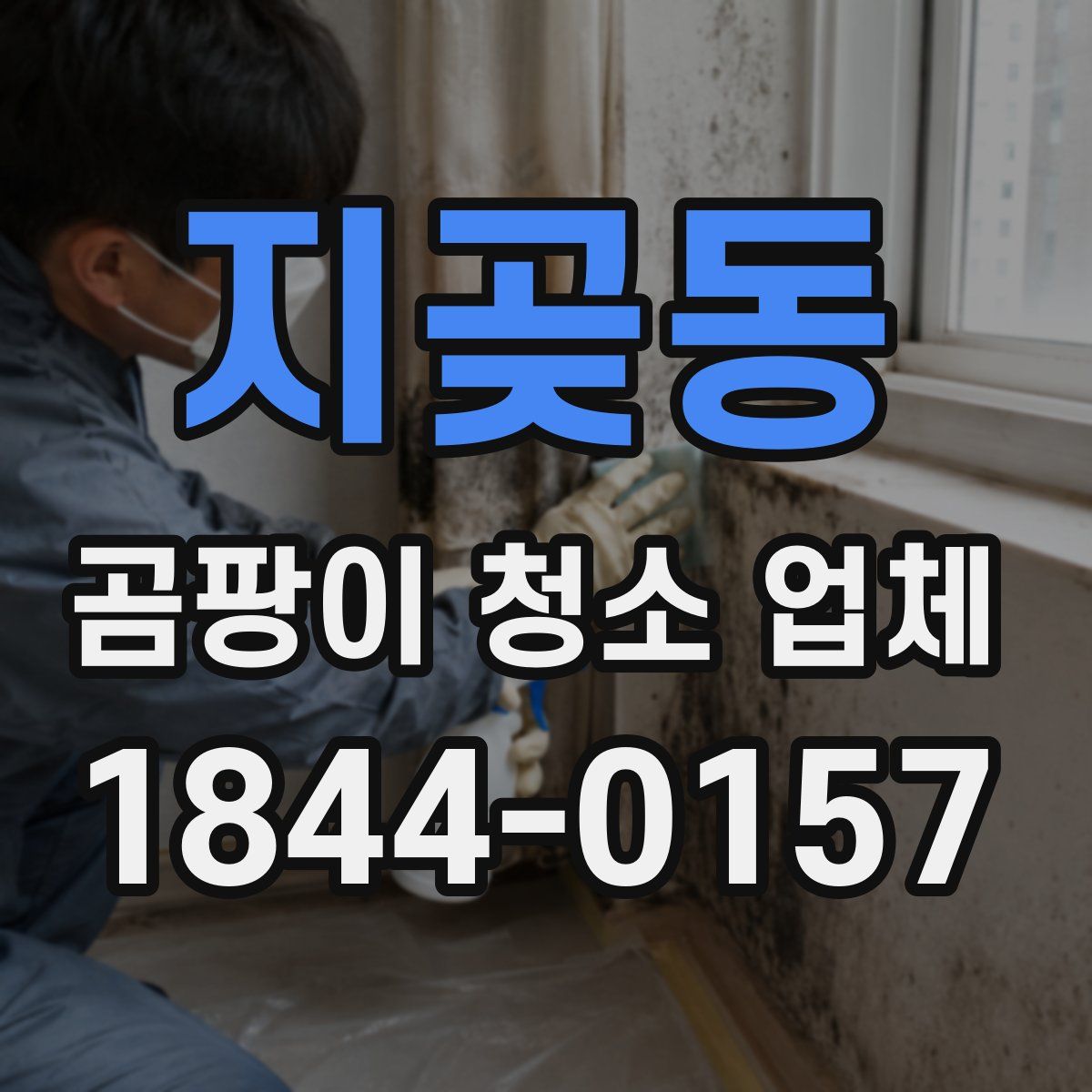 지곶동 곰팡이 청소 업체