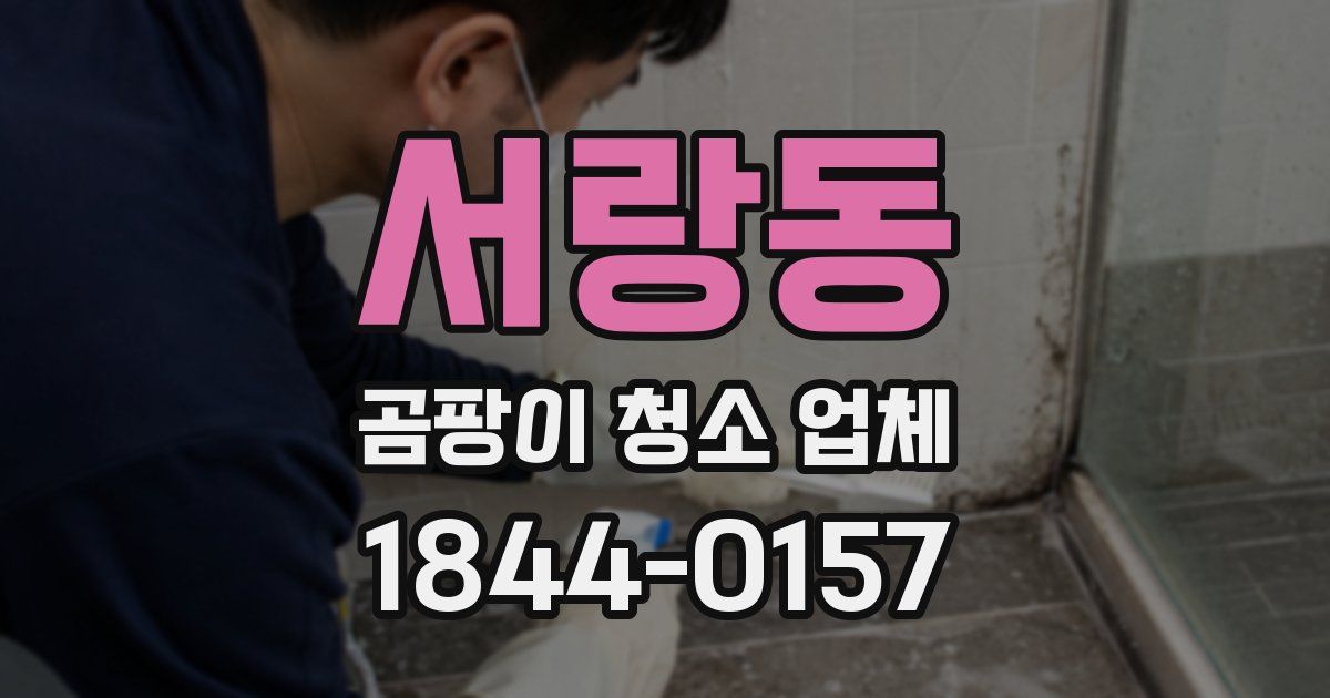 서랑동 곰팡이 청소 업체