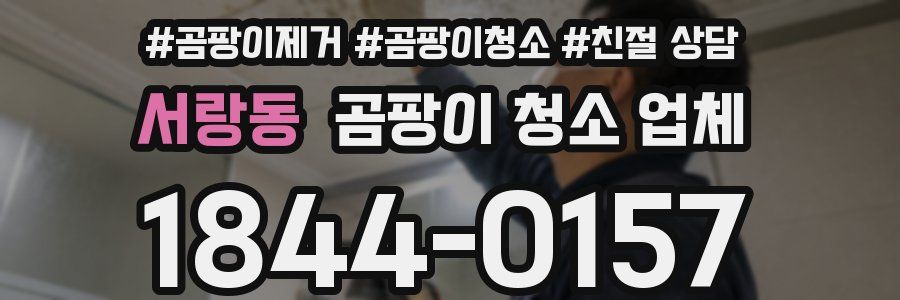 서랑동 곰팡이 청소 업체
