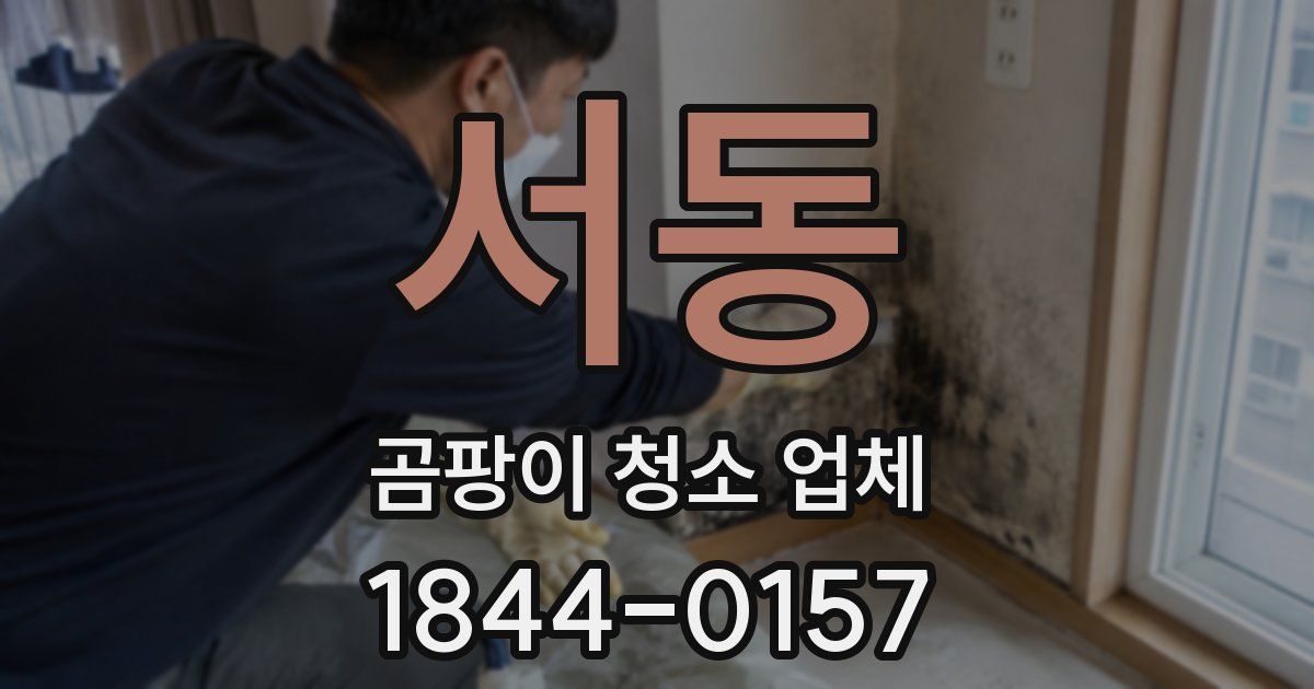서동 곰팡이 청소 업체